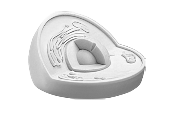 太阳城官网(中国)集团有限公司